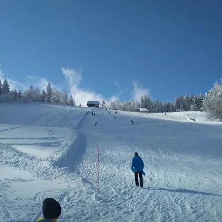 Sunny Anica Poljane nad Skofjo Loko
