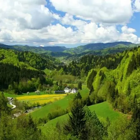 Sunny Anica Chalet *